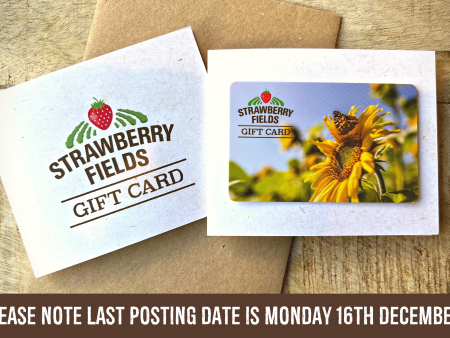 Strawberry Fields Gift Card For Discount