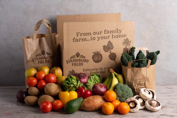 Fruit, Salad & Vegetable Box Hot on Sale