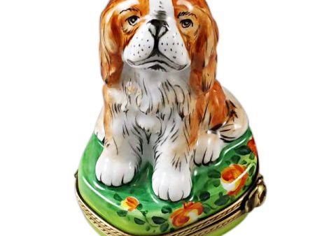 King Charles Spaniel Limoges For Discount