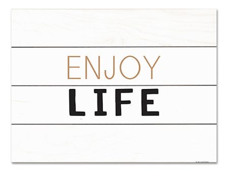 BRO256PAL - Enjoy Life - 16x12 Supply