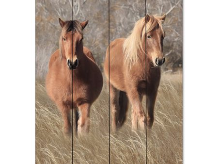 LD2287PAL - Assateague Horses IV - 12x16 For Cheap